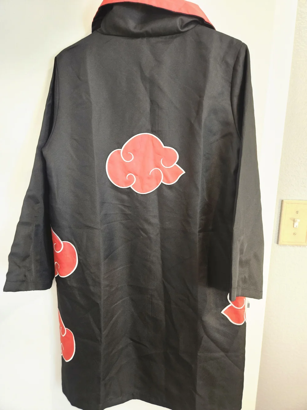 Akatsuki organization in Naruto Shippuden